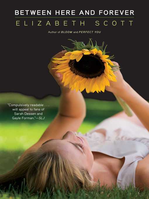 Cover image for Between Here and Forever